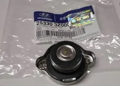 253303Z000 Mobis Hyundai Tucson Radyatör Kapağı 2004-10