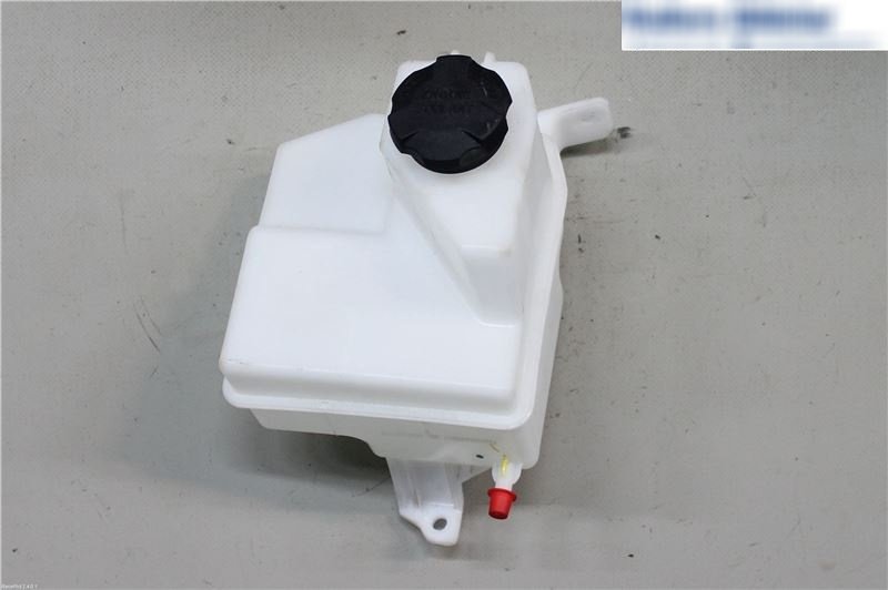 Kia Ceed 12-16 Radyator Yedek Su Deposu Orjinal.25430a2000